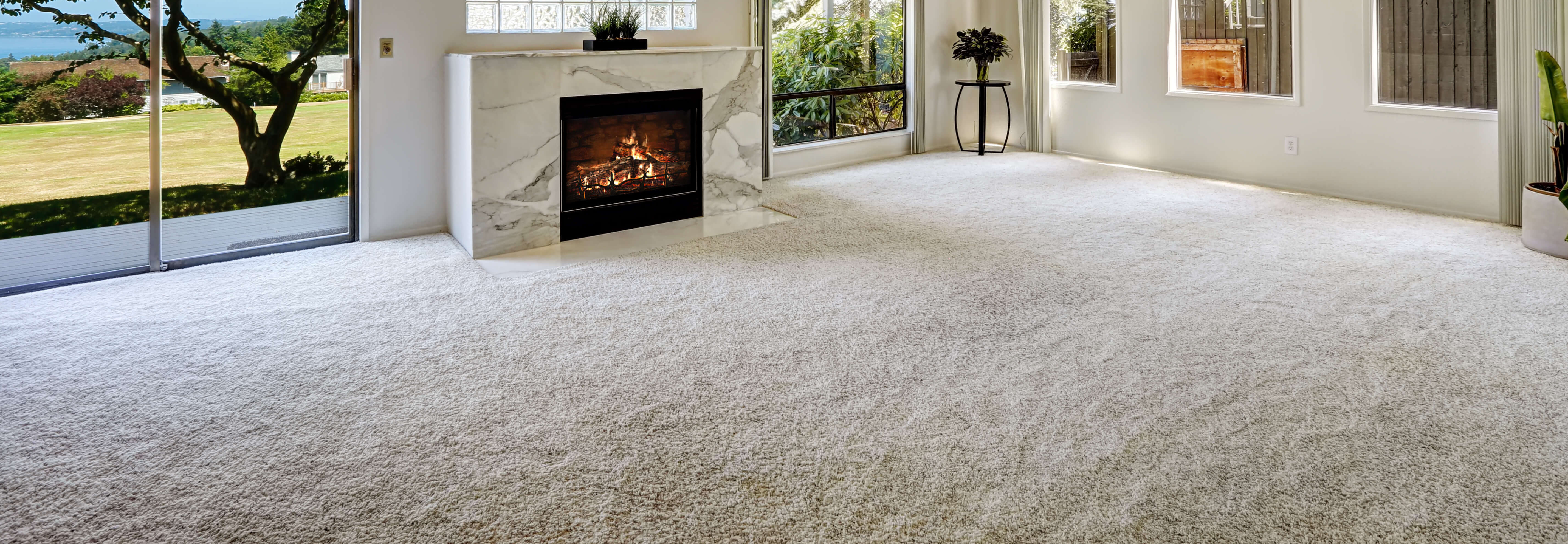 Beautiful carpeted living room
