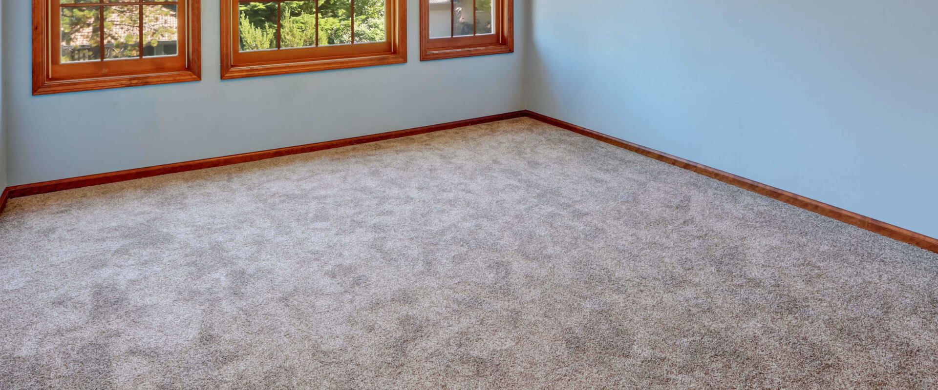 Carpeted Room