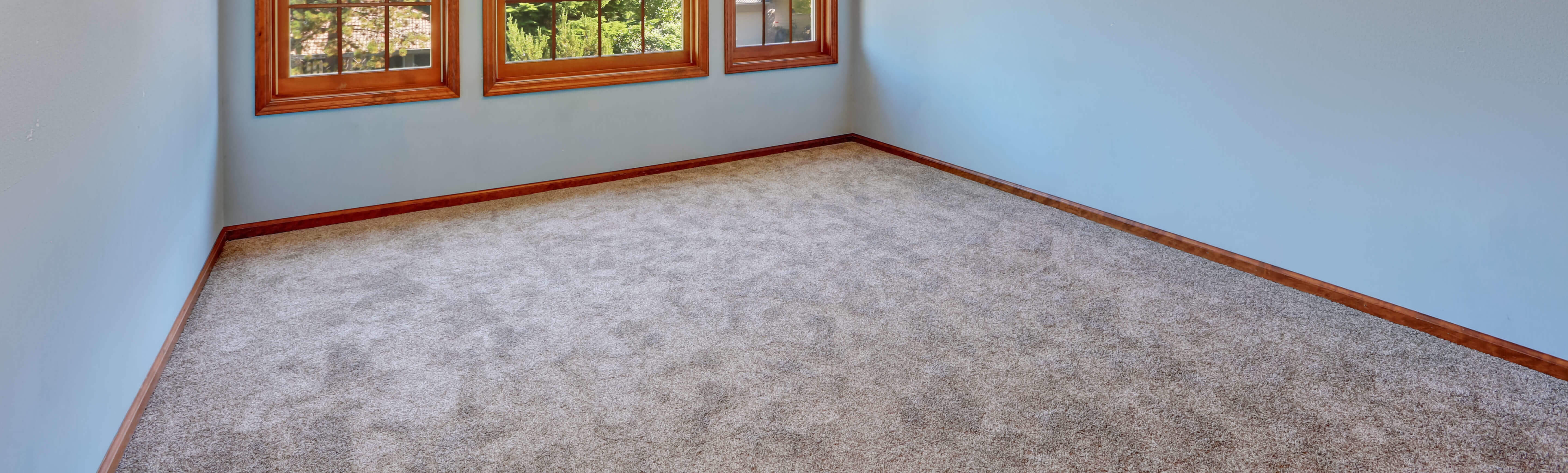 Carpeted Room