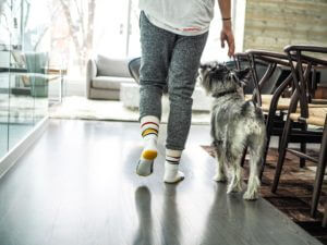 How to Pet Proof Hardwood Floors