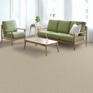 Broadcast Plus carpeting installed in a family or living room
