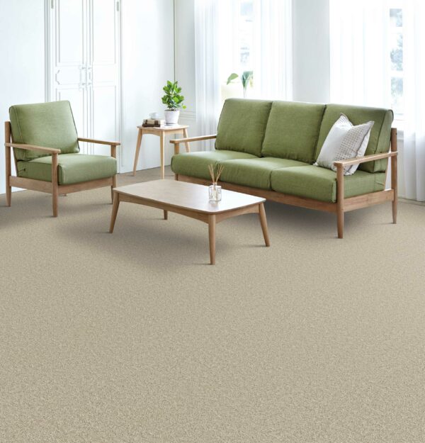 Broadcast Plus carpeting installed in a family or living room