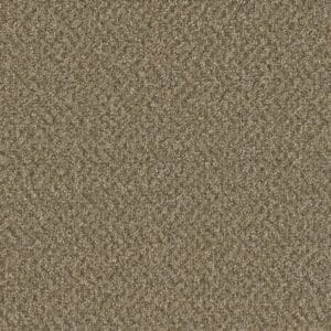 2418 Color Swatch for Broadcast Plus
