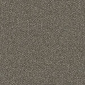 477 Color Swatch for Broadcast Plus