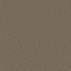 530 Color Swatch for Broadcast Plus