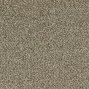 803 Color Swatch for Broadcast Plus