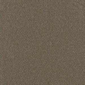 806 Color Swatch for Broadcast Plus