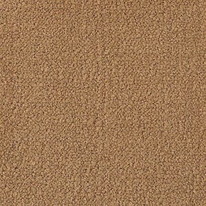 258 Color Swatch for Influencer