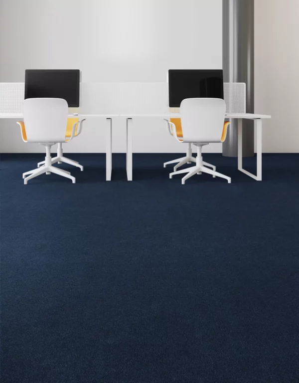 Influencer carpet in an office