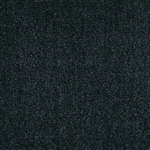 595 Color Swatch for Influencer
