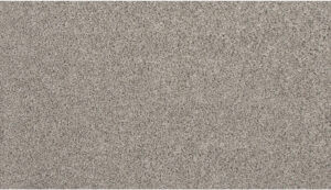 24 Color Swatch for Fenwick