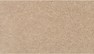 26 Color Swatch for Fenwick