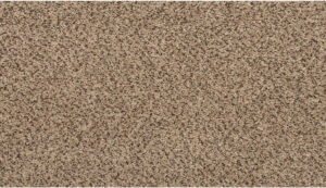 27 Color Swatch for Fenwick